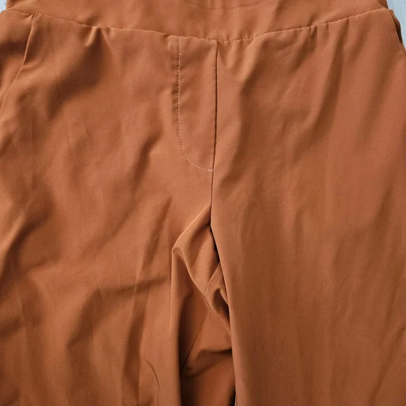 Stylish Rust Pants - Picture 2 of 5
